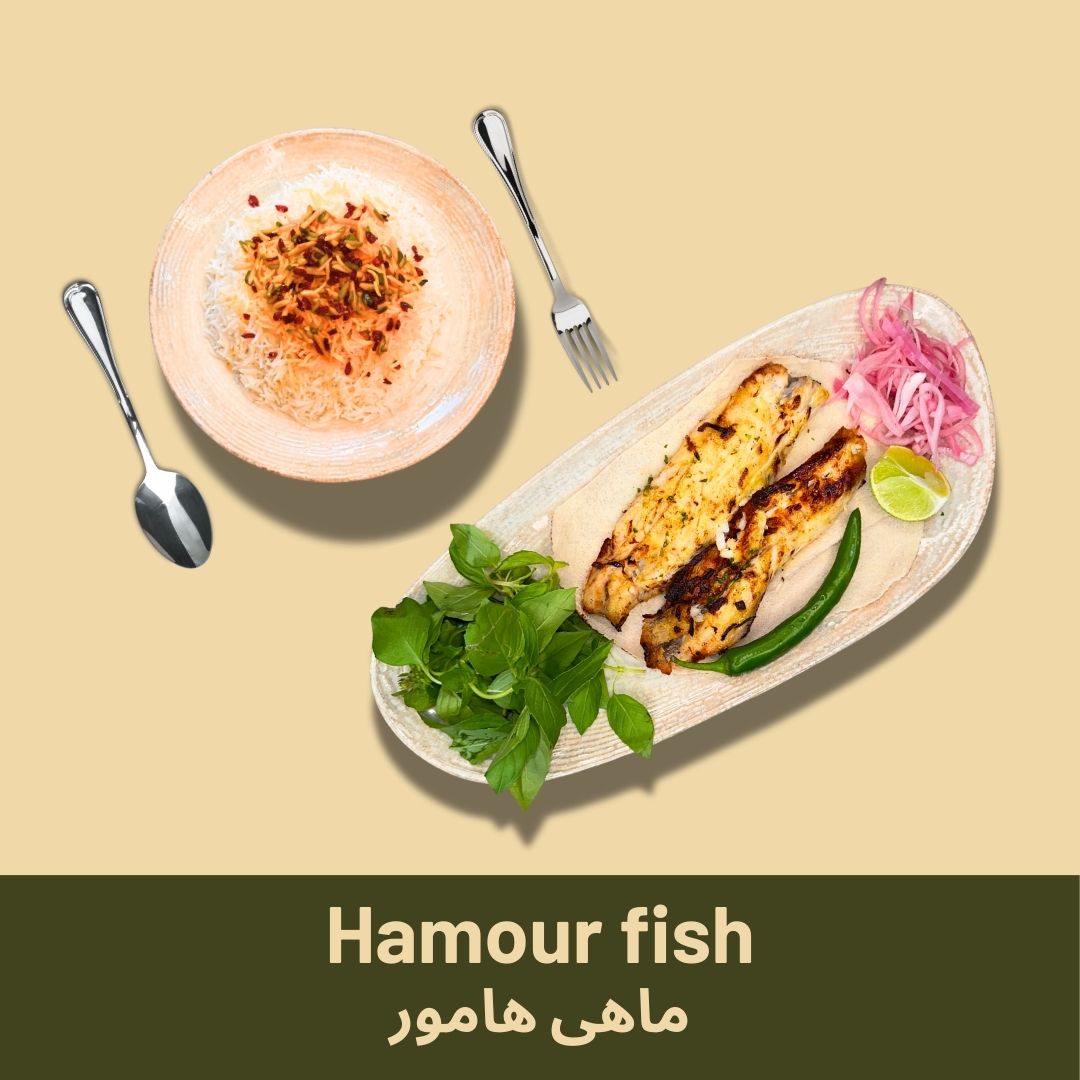 Hamour fish